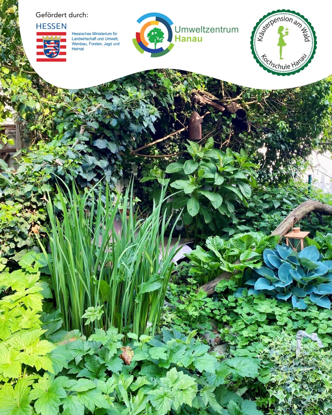 Abenteuer Kräutergarten Neu